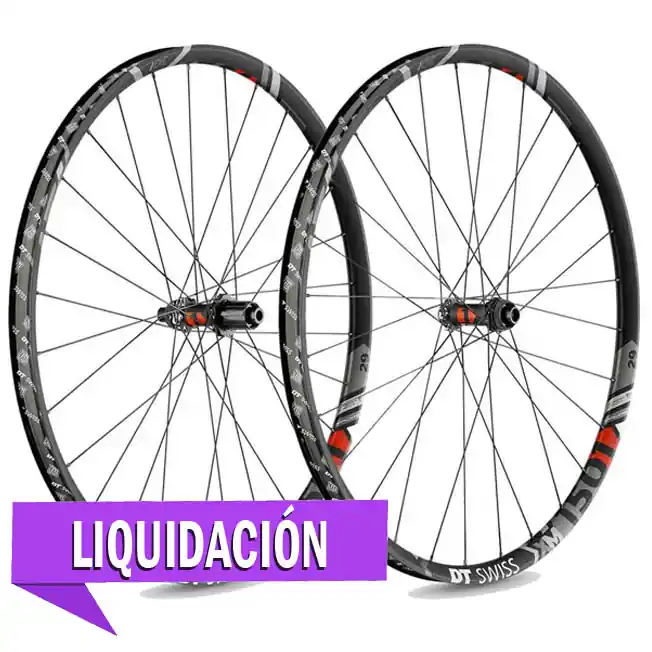 Ruedas DT Swiss XM 1501 Spline