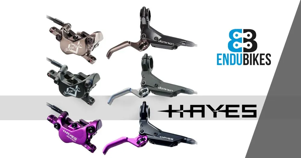 Frenos Hayes Dominion A4 MTB
