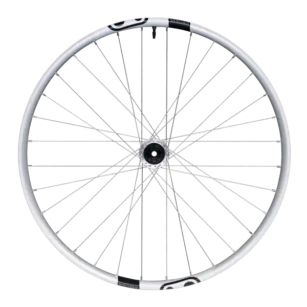 Rueda trasera CRANKBROTHERS SYNTHESIS Aluminio 2.0 DH I9 29" 12x148 mm Boost Plata