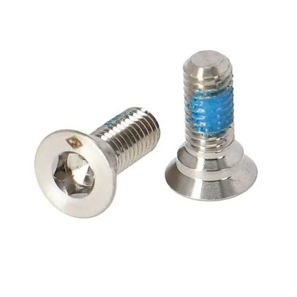 Tornillos para adaptador CAMPAGNOLO Flat Mount EKAR 13 (x2)