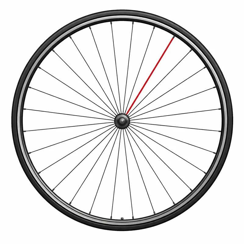 Rayo CAMPAGNOLO + Tetina SHAMAL ULTRA C17 con Patines Traseros Izquierdos