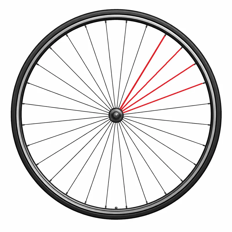 Juego de 4 Radios CAMPAGNOLO + Cabecillas BORA ONE/ULTRA 50 Izquierda Delanteros y Traseros