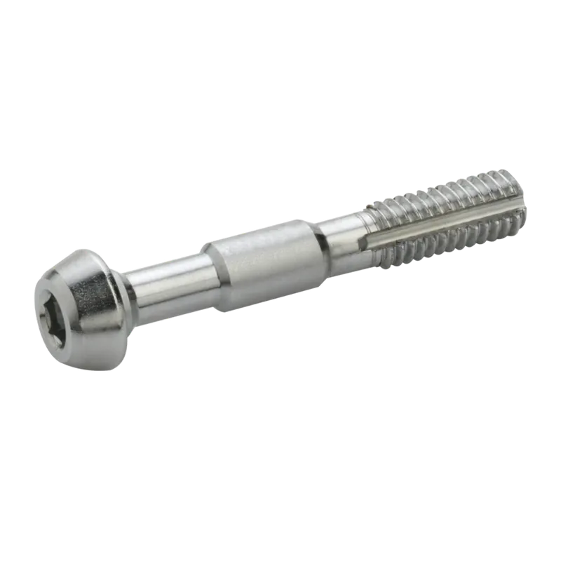 Juego de 2 tornillos de acero inoxidable ELVEDES para Shimano Banjo