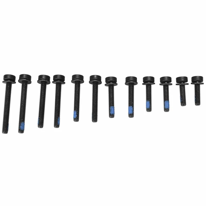 Juego de 12 tornillos MAGURA T25 para FlatMount trasero