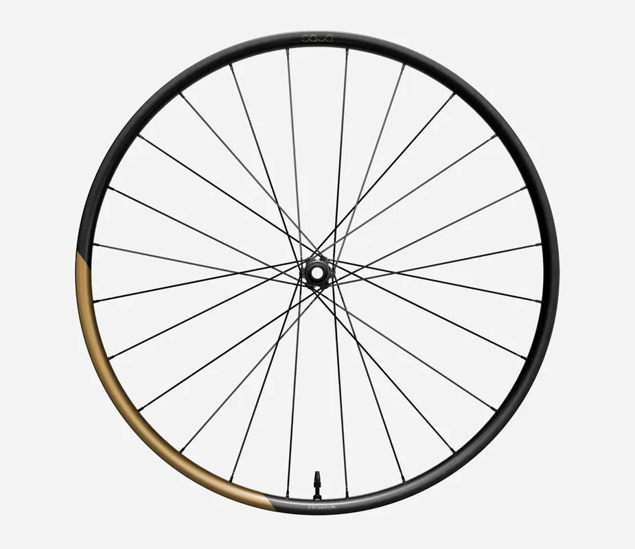 Oquo Rueda Delantera Mtb MP30LTD 29 Metallic Golden Sand