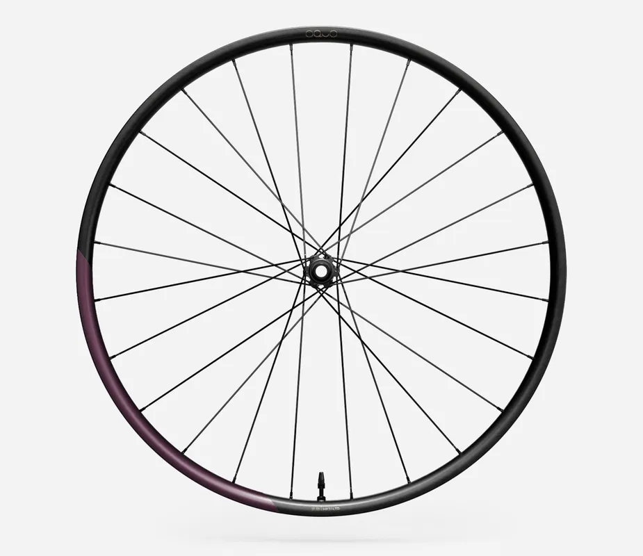 Oquo Rueda Delantera Mtb MP30LTD 29 Metallic Mulberry