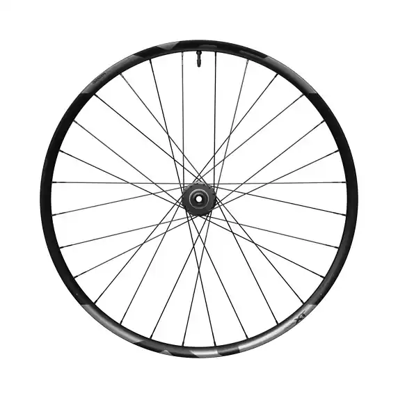 Rueda Trasera Shimano Deore XT WH-M8200-TL-R12-B-29 12v Freno Disco Center Lock Negro