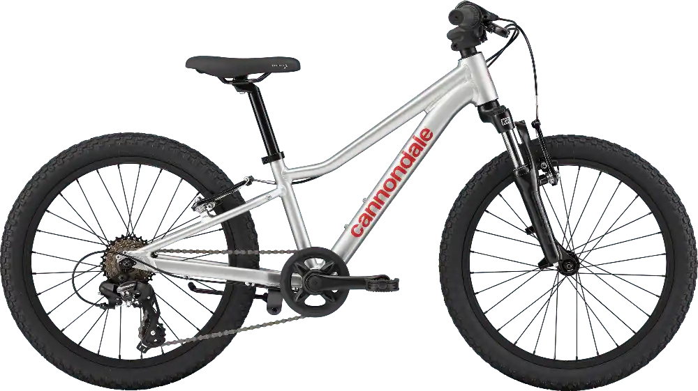 Cannondale Kids Trail 20 2026 Silver