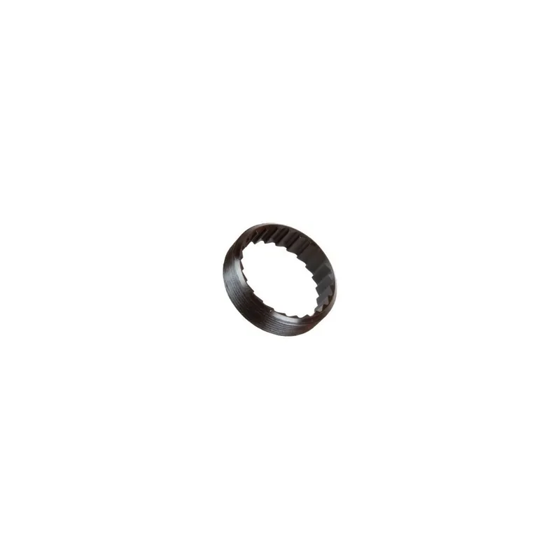 Tuerca de anillo Dt Swiss para trinquetes