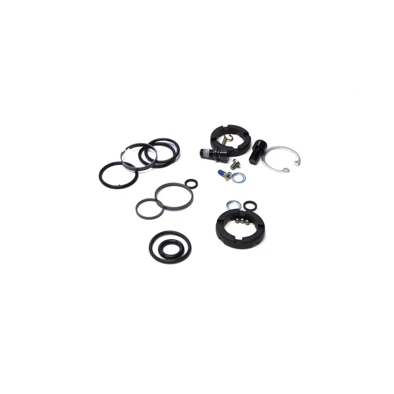 Kit Mantenimiento RockShox Lyrik