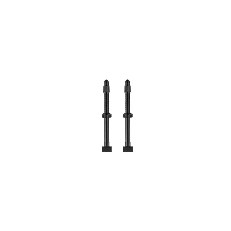 Par de válvulas Tubeless Giant (80mm)
