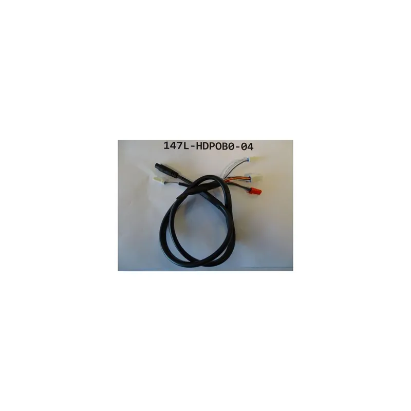 Cable Display a motor Giant / Liv ebikes 2019