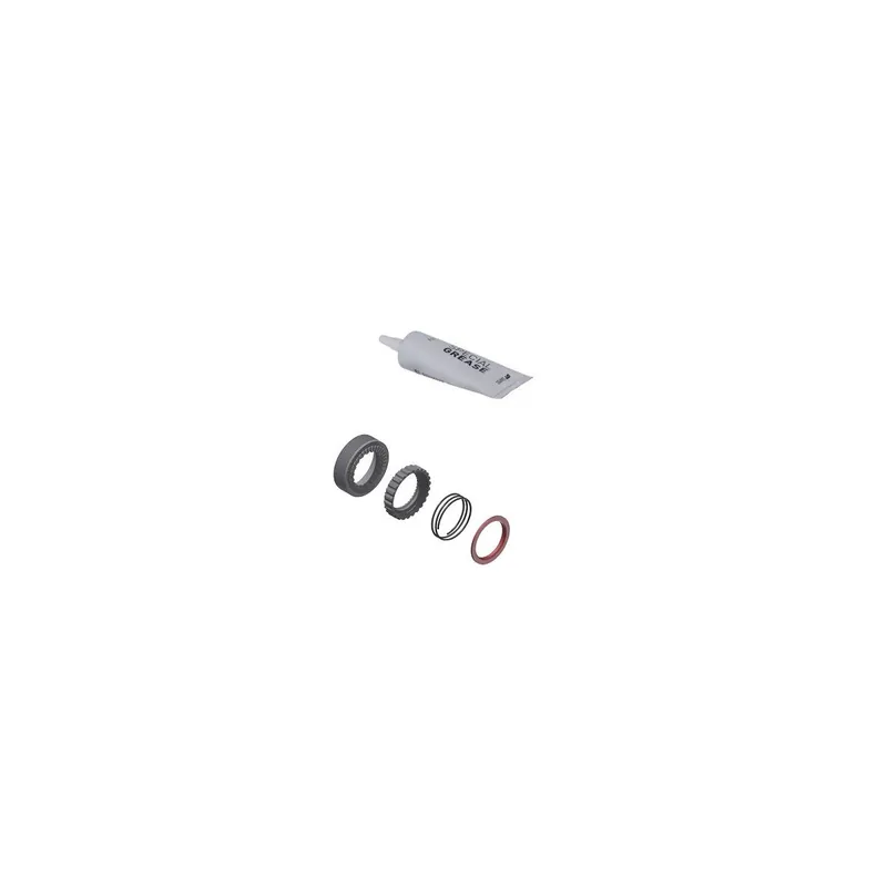 Service Kit Dt Swiss ratchet 36T
