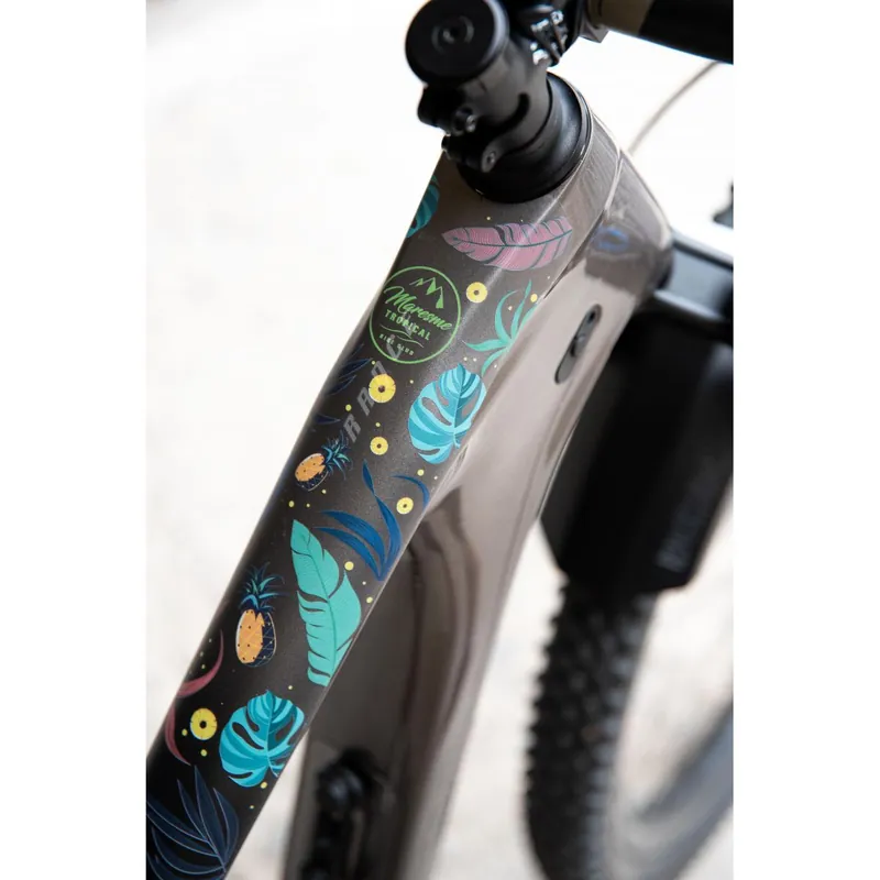 Protector de Cuadro DYED BRO | Maresme Tropical