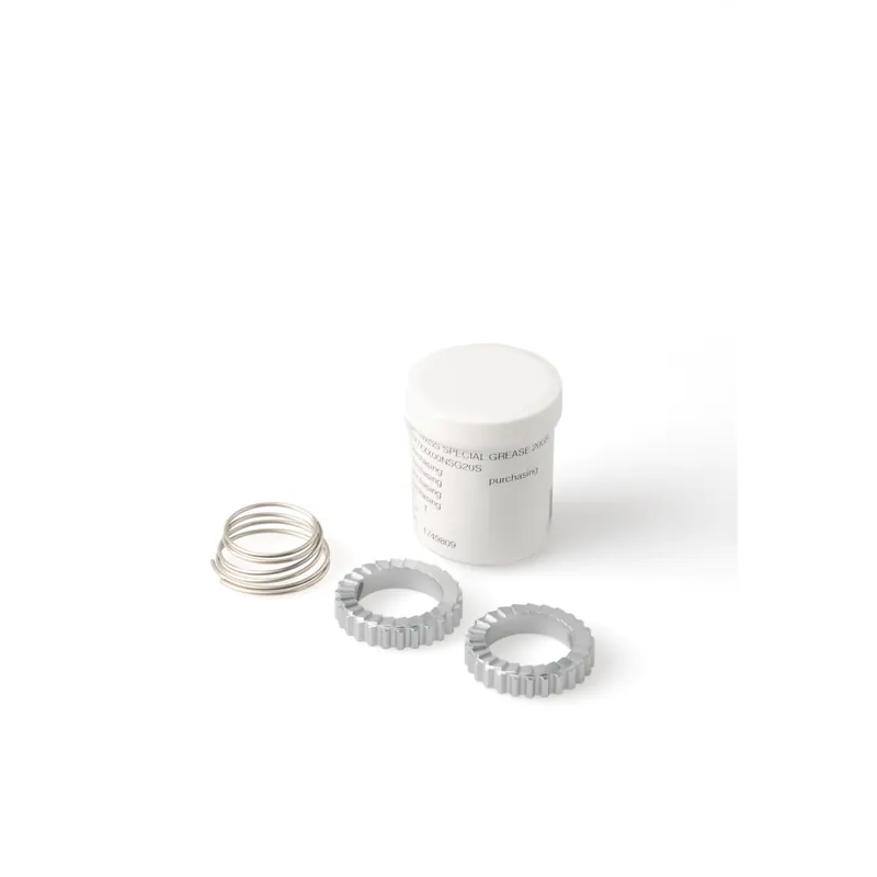 Service Kit Dt Swiss Ratchet 24 dientes