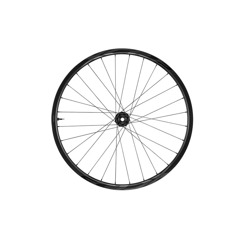 Rueda delantera de carbono Giant XCR1 29" 15x110 Despiece