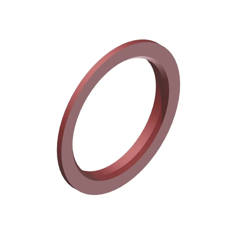 Anillo DT Swiss para núcleos ratchet EXP 1ud