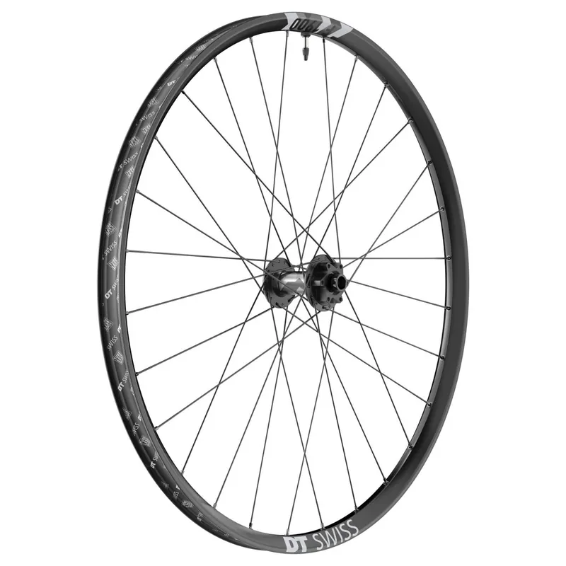 Rueda Delantera DT Swiss F 1900 CLASSIC 29" 15x110mm Boost 6 torillos