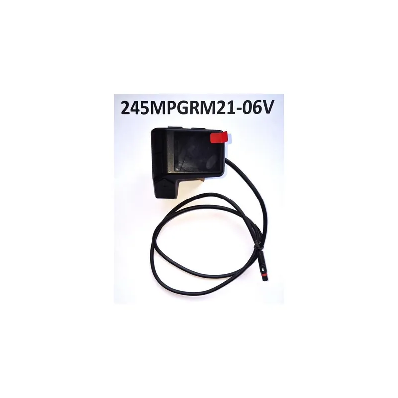 Recambio mando Giant RideControl Dash | Mando + Pantalla Original