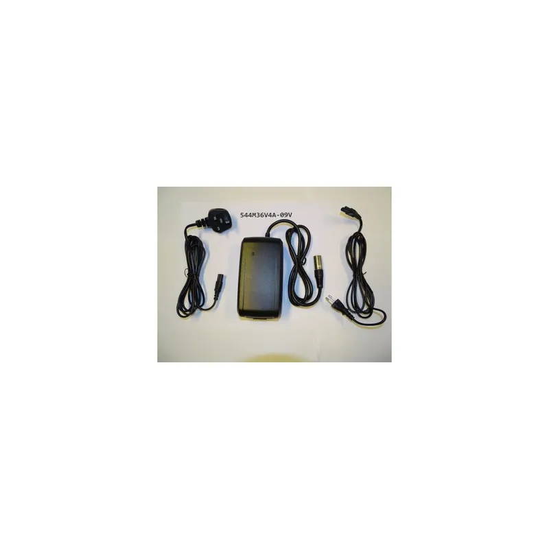 Cargador Giant 4A 5Pin EnergyPak Output DC36V/4A
