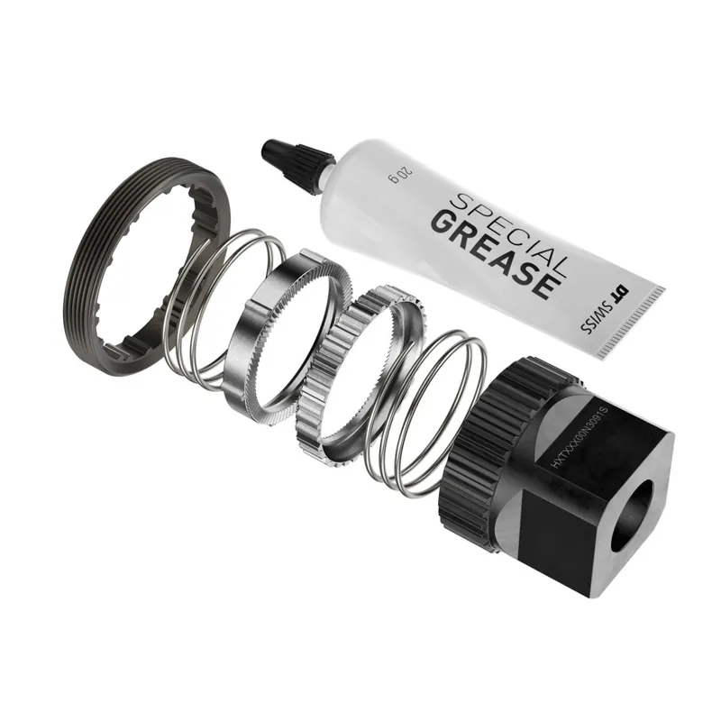 Kit Servicio Dt Swiss Ratchet DEG 90T DF 0/10/20 W Tool
