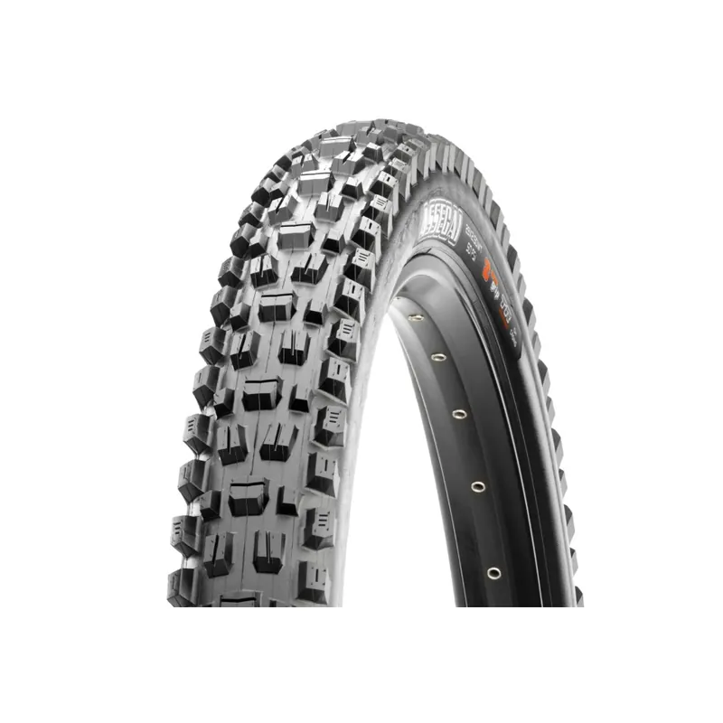 Cubierta Maxxis Assegai 29 Maxx Terra MT/EXO+/TR