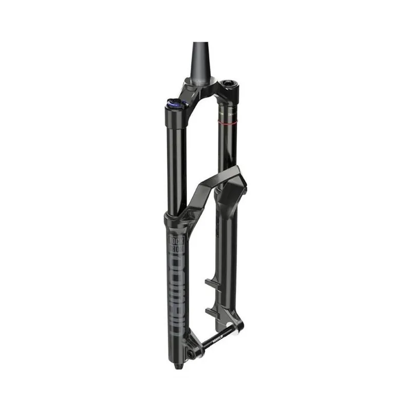 Horquilla Rock Shox Domain RC