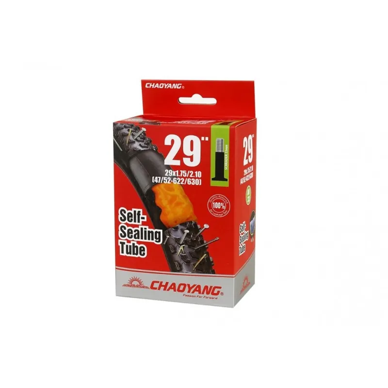 Cámara Chaoyang Antipinchazo 29 Schrader AV 48 mm