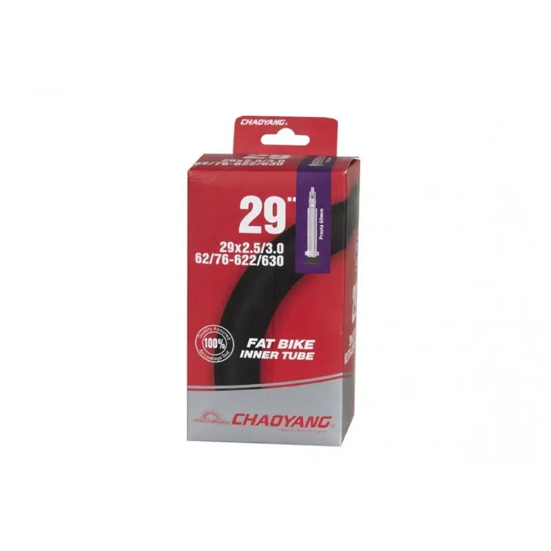 Camara Chaoyang 29 Presta 60MM