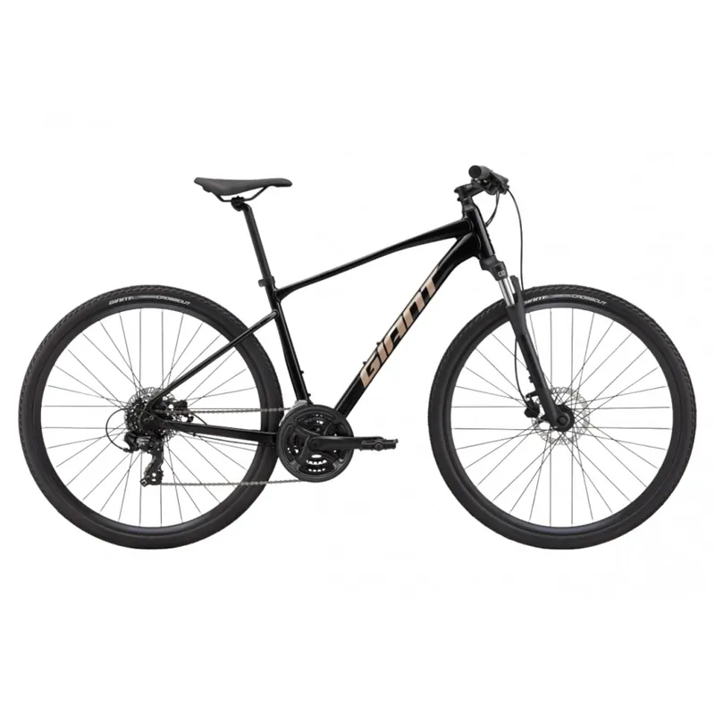 Bicicleta Giant Roam Disc 4 25