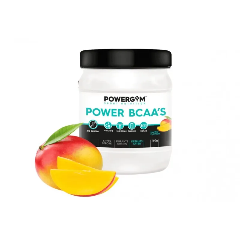 Aminoacidos Powergym Power BCAA 450gr