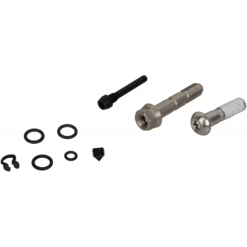 Recambio Avid X0/XX 10-11
