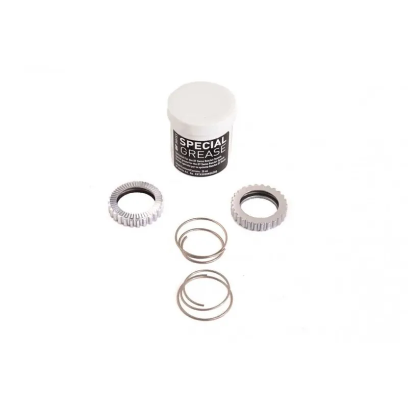 Kit Servicio Dt Swiss Ratchet 54 Superlight