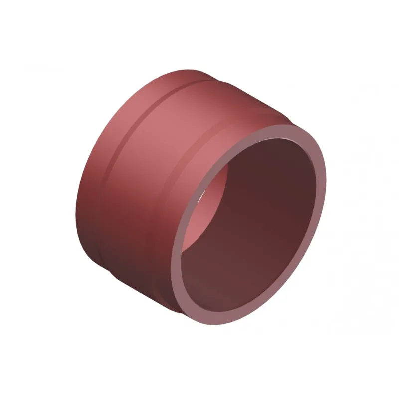 Separador DT Swiss Nucleo Interno Rachet EXP 10.7mm
