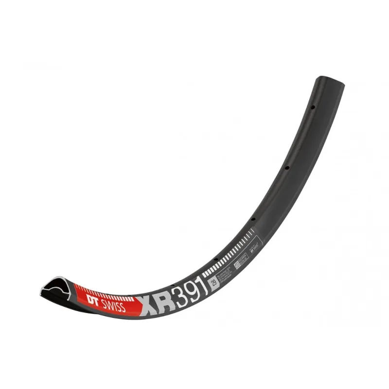 Llanta DT Swiss XR 391 Disc 29" 25mm 28H