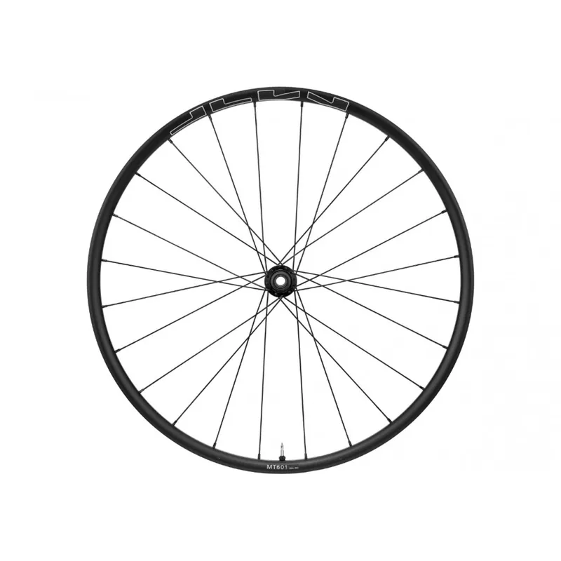 Rueda Shimano WH-MT601 Disc E-Thru 15mm Del 29