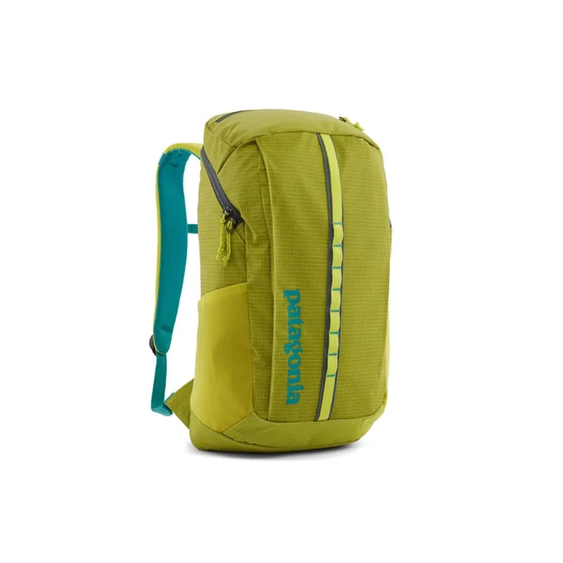 Mochila Patagonia Black Hole Pack 25L
