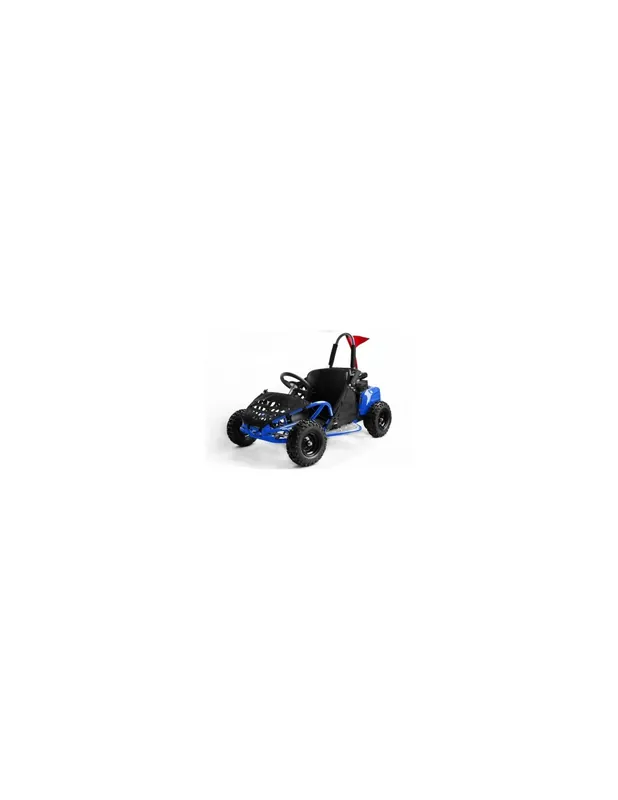 BUGGY GOKID 80cc R6