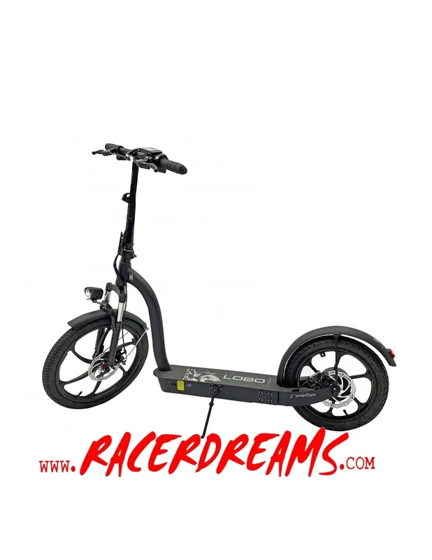 Patín Eléctrico Smartgyro Lobo 500W
