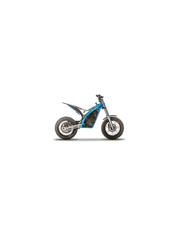 Torrot Kids TR2