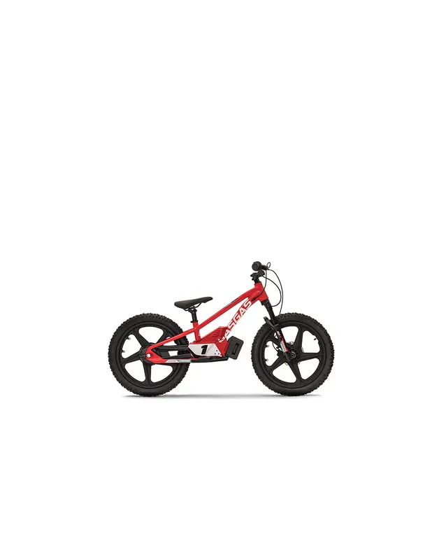 BICICLETA ELECTRICA BALANCE GAS GAS SMC-E 1.20