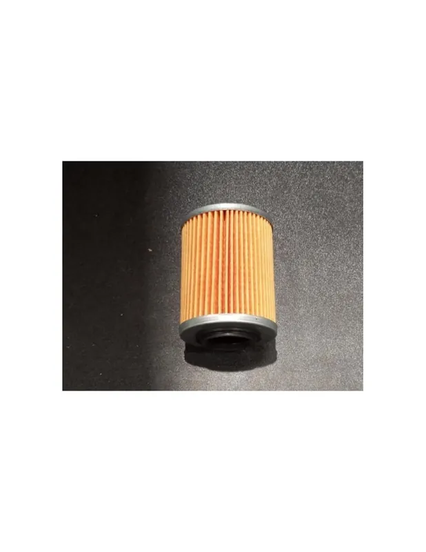 FILTRO ACEITE CFMOTO ATV- UTV / GOES TERROX