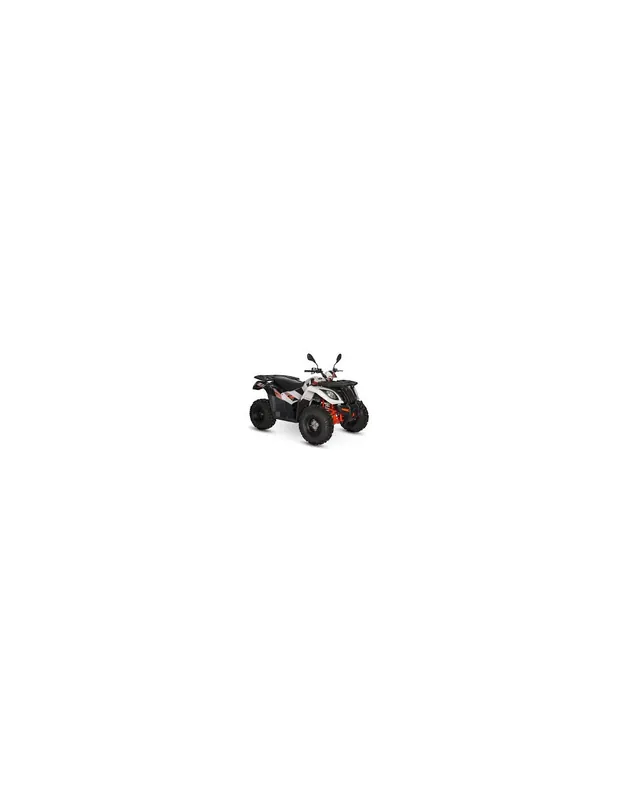 ATV KAYO 300
